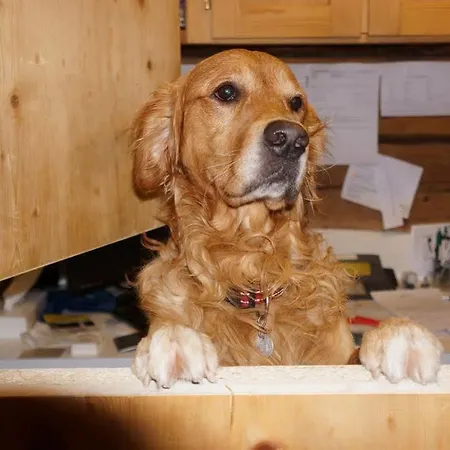 Schraemli's Lengmatta 3*